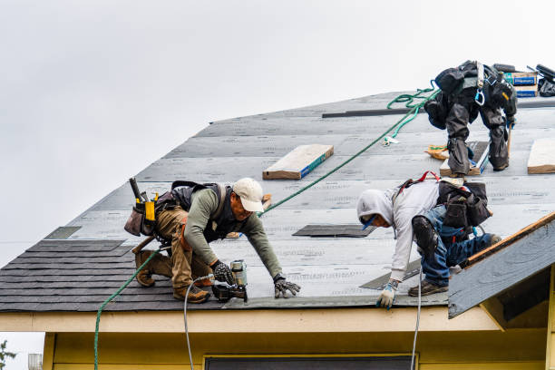 Professional Roofing technician working in Aripeka, FL